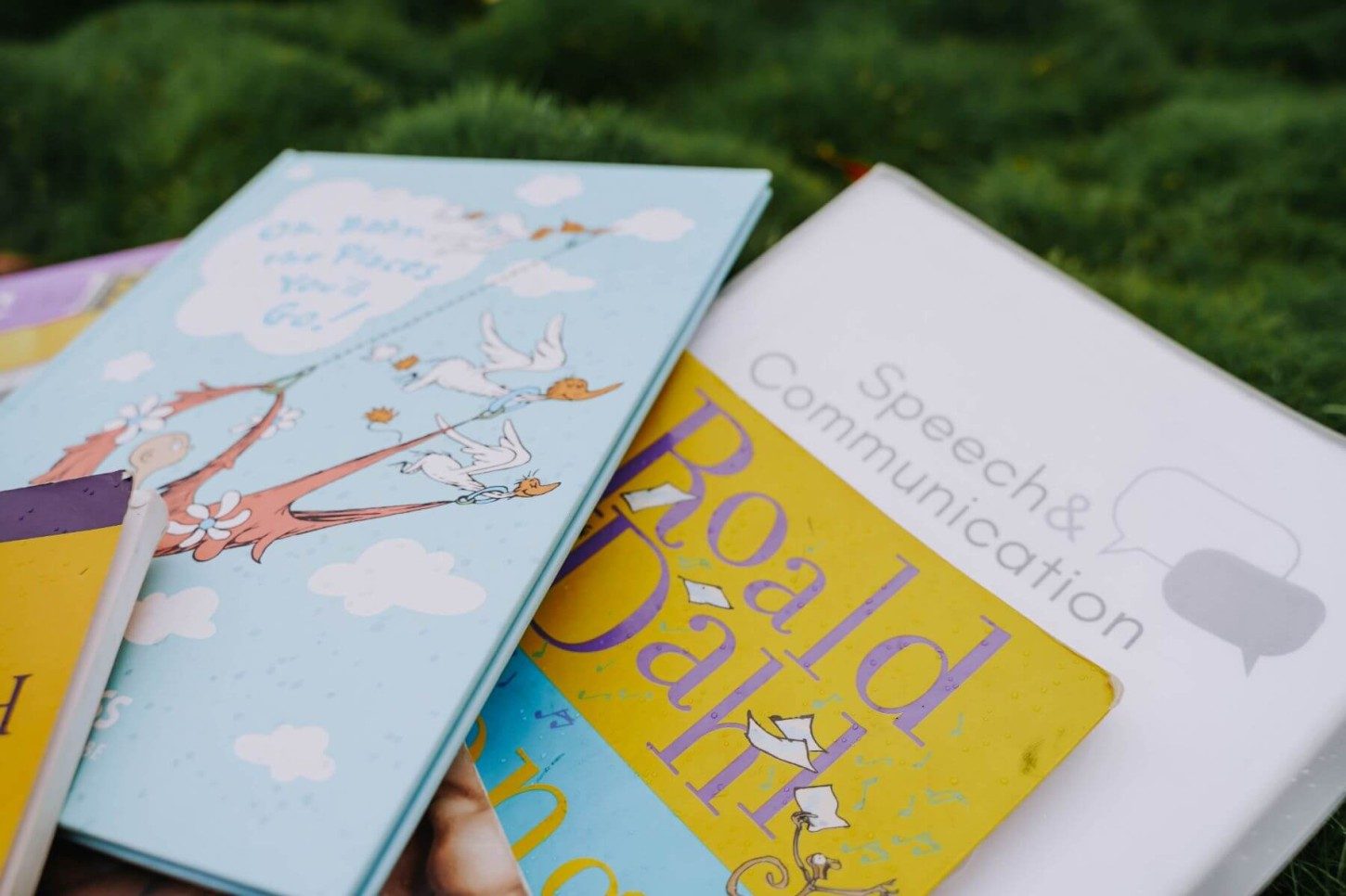 Roald Dahl and Dr Suess Books